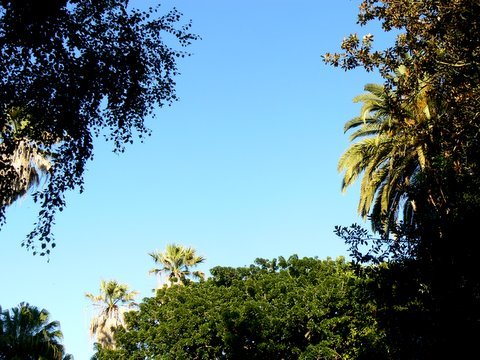 [céu-do-JB-08.JPG]
