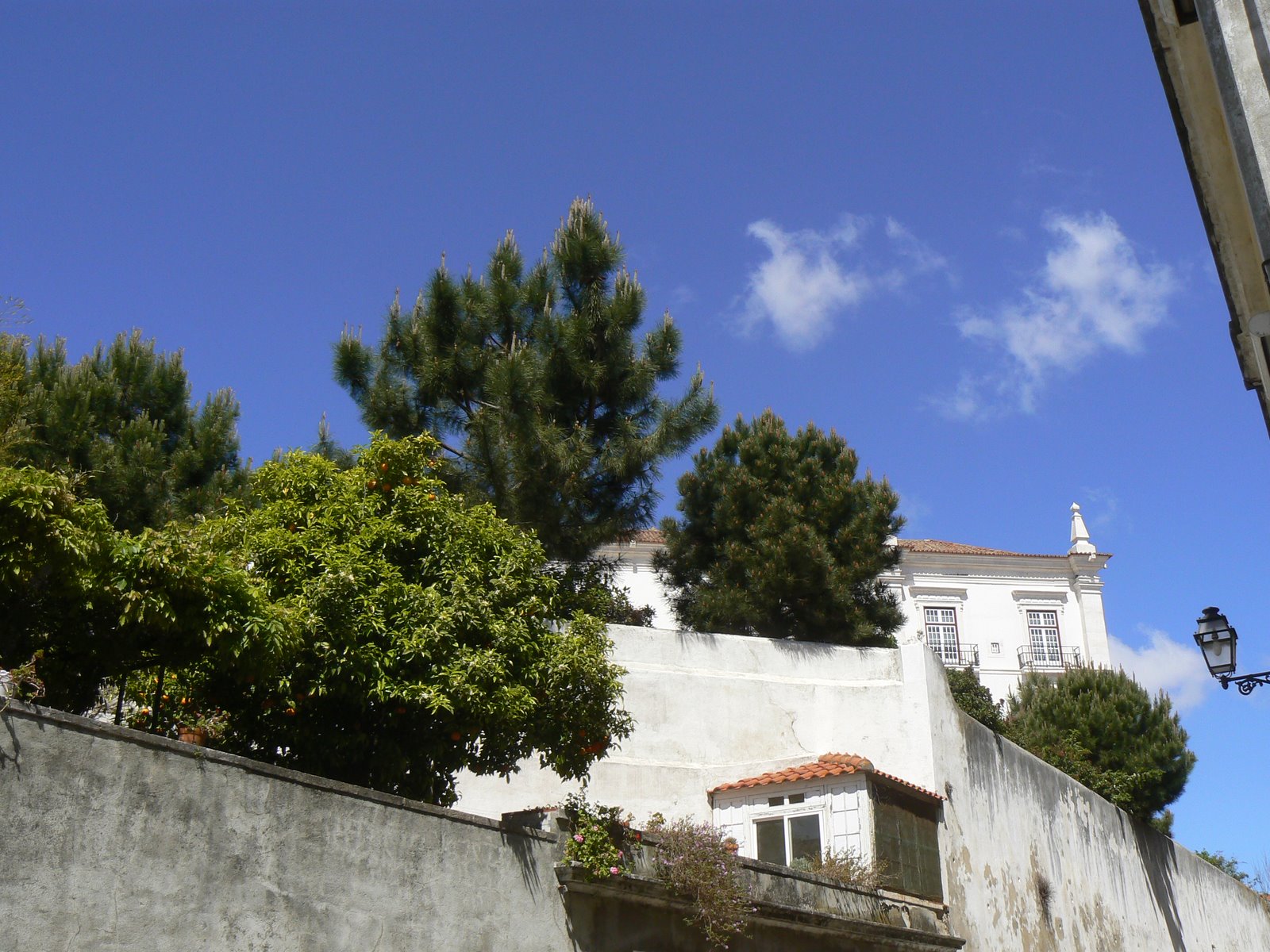 [P1100047.JPG]