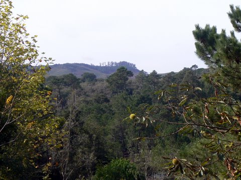 [CRLI-paisagem.JPG]