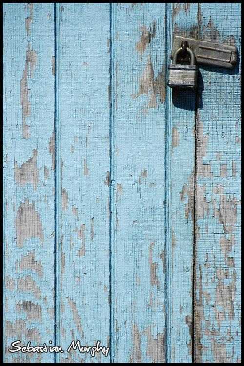 [_DSC1365_sharp_small_sig.jpg]