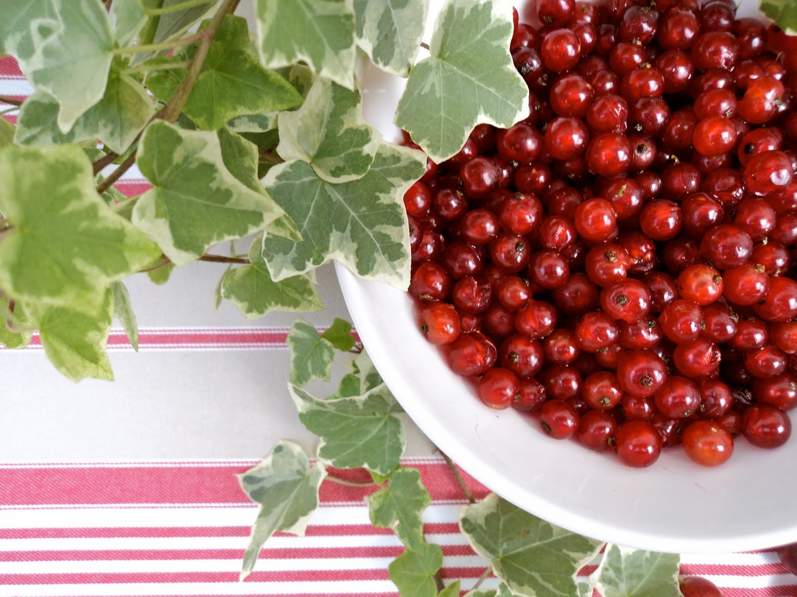 Mariola´s Cooking Therapy Gooseberry Pound Cake with Red Currant Curd