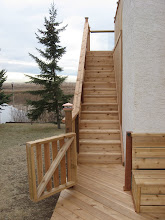 Pioneer NEW stairs