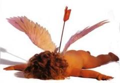 [cupidd.jpg]