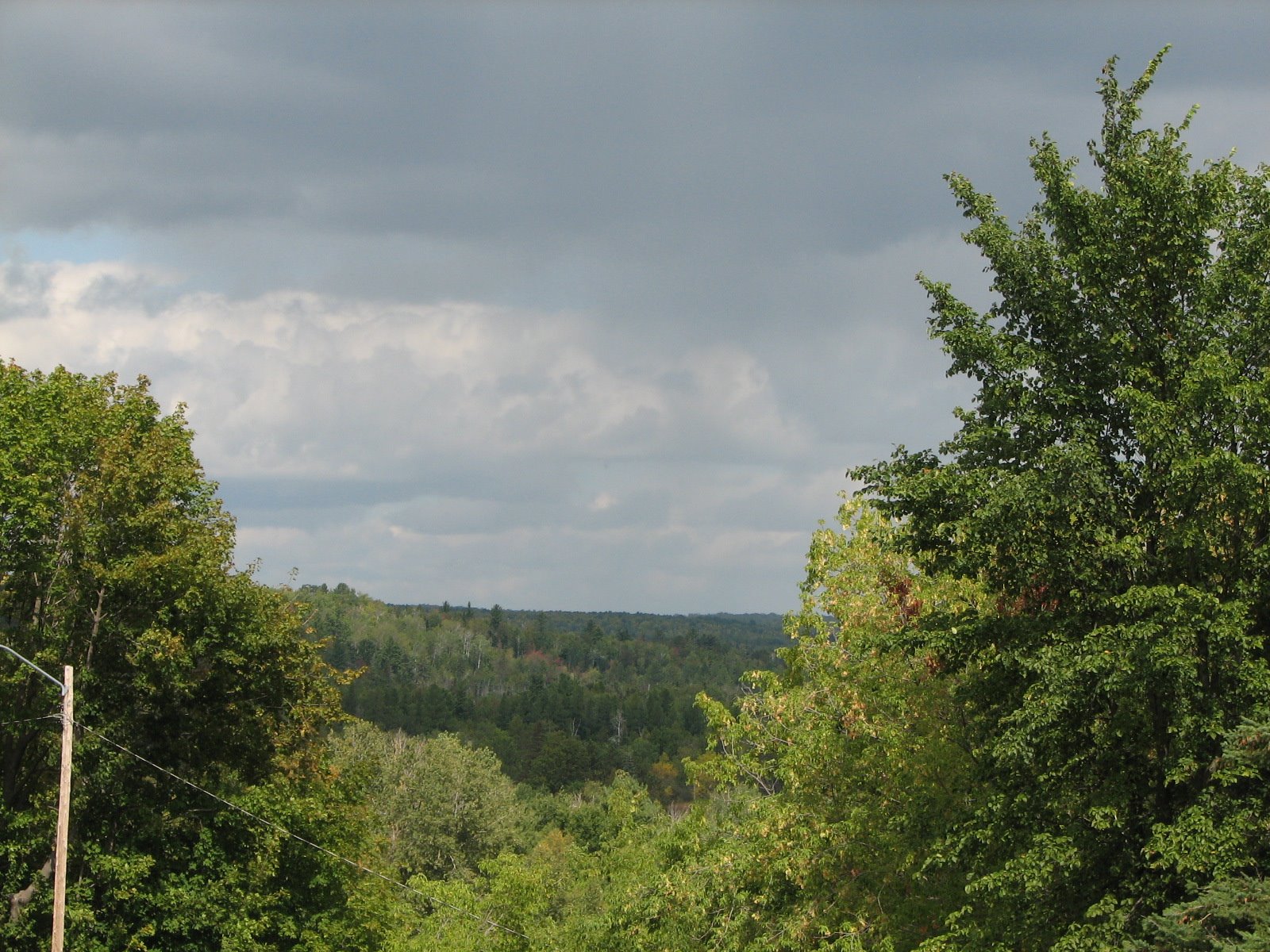 [IMG_3729.JPG]