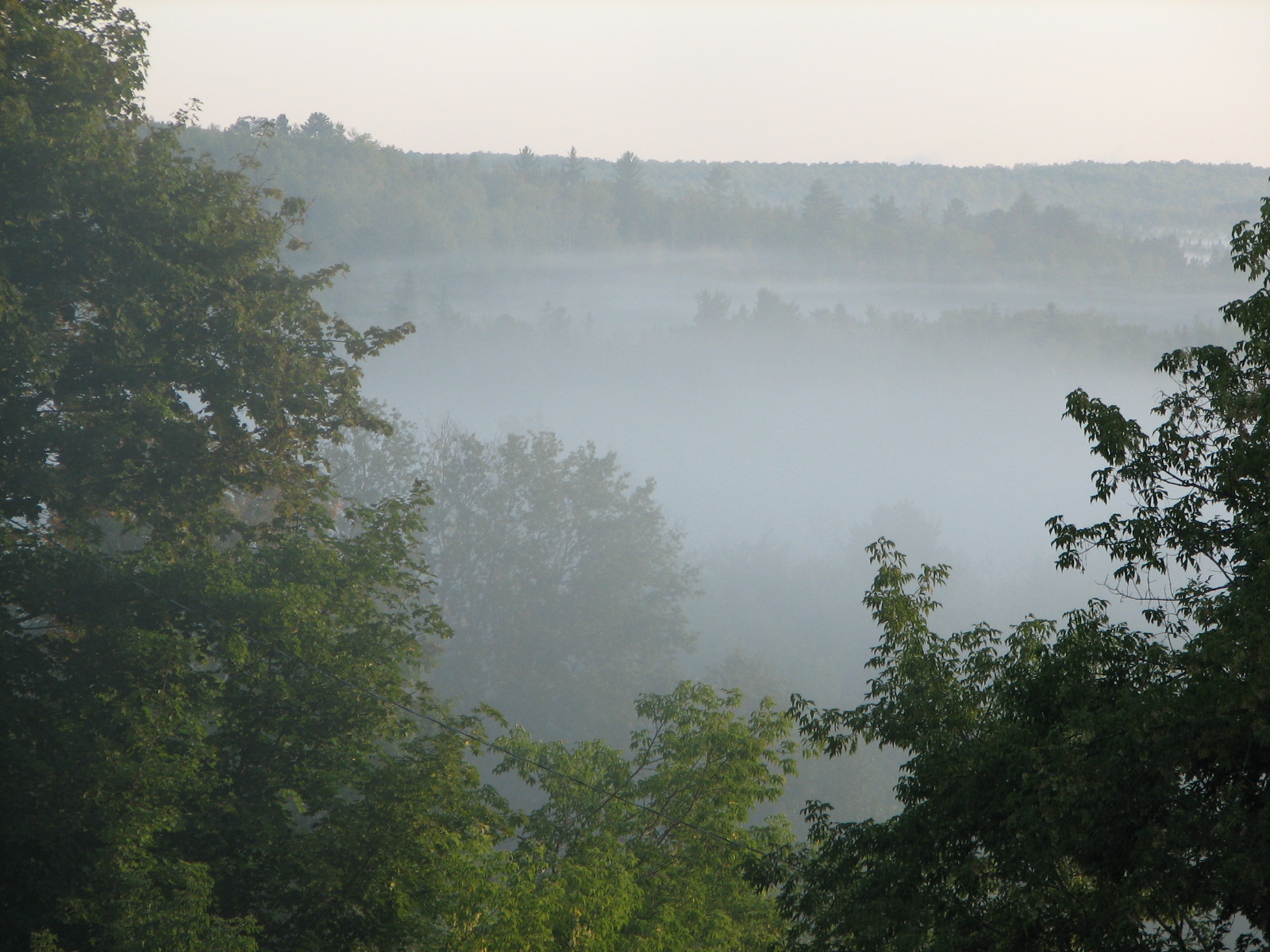 [IMG_3697.JPG]