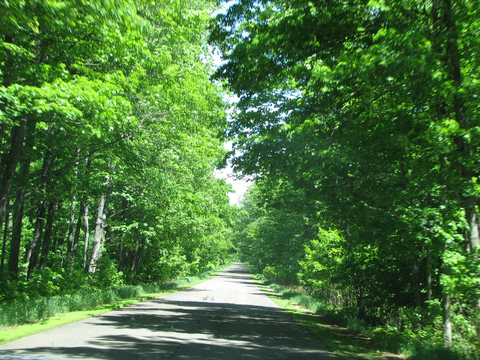[IMG_1739.JPG]