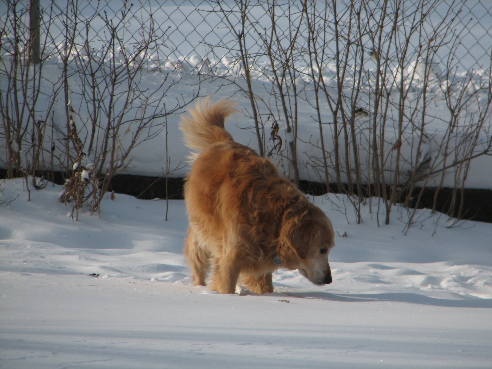 [IMG_4825.JPG]