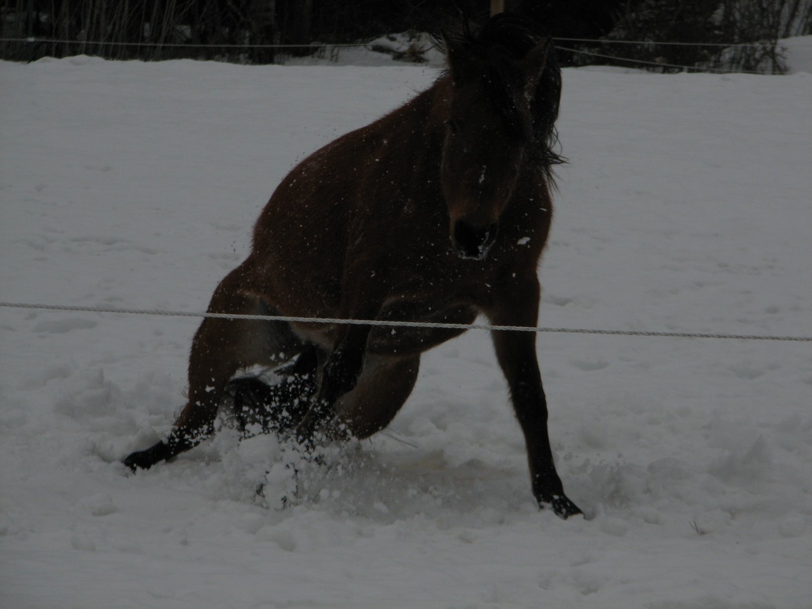 [IMG_5673.JPG]