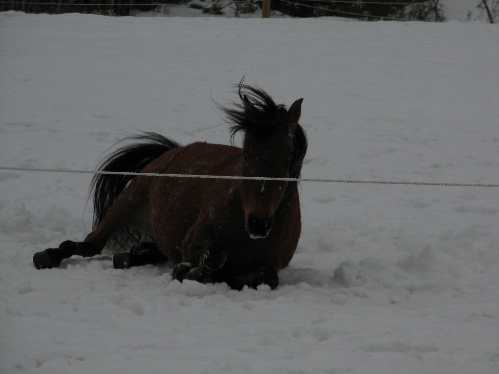 [IMG_5672.JPG]