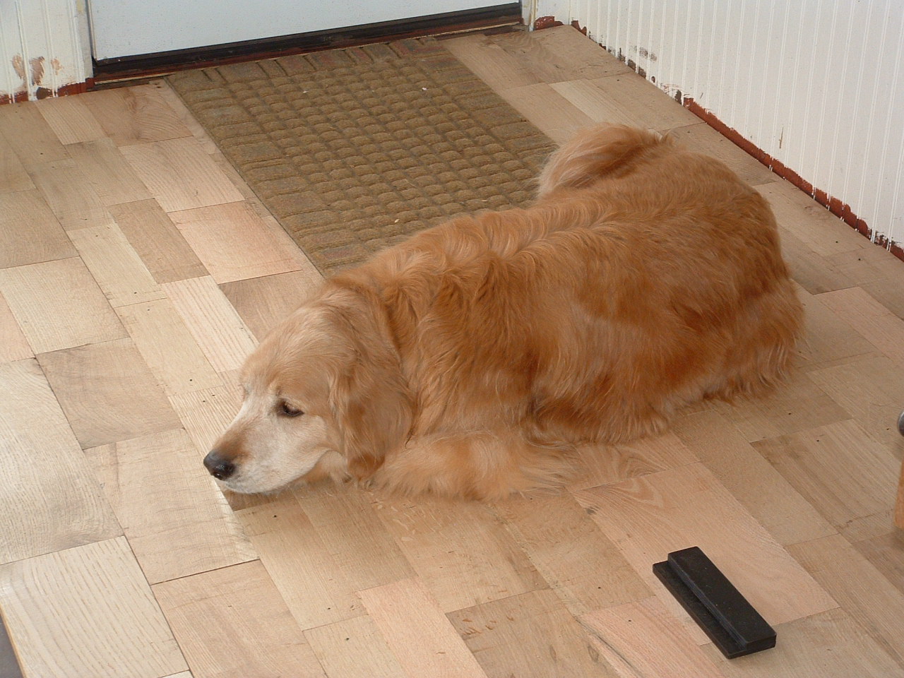 [floor+2+005.jpg]