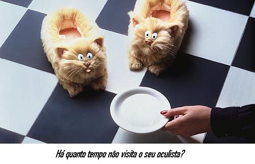[quanto+1.JPG]