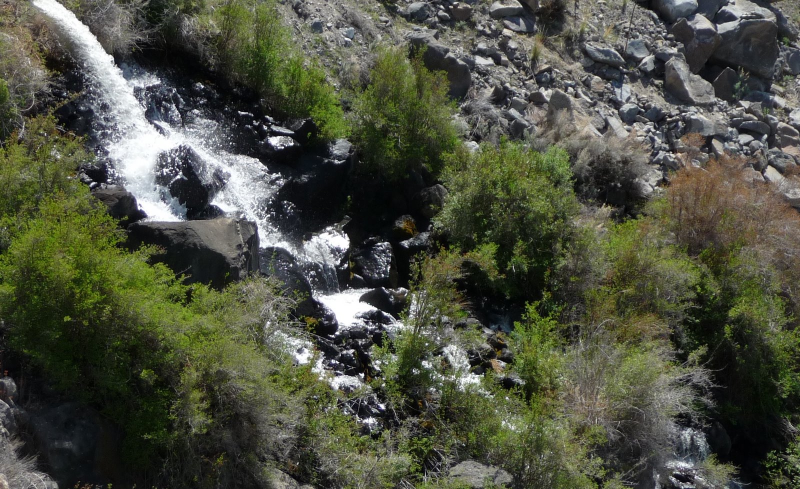 [P1040654.JPG]