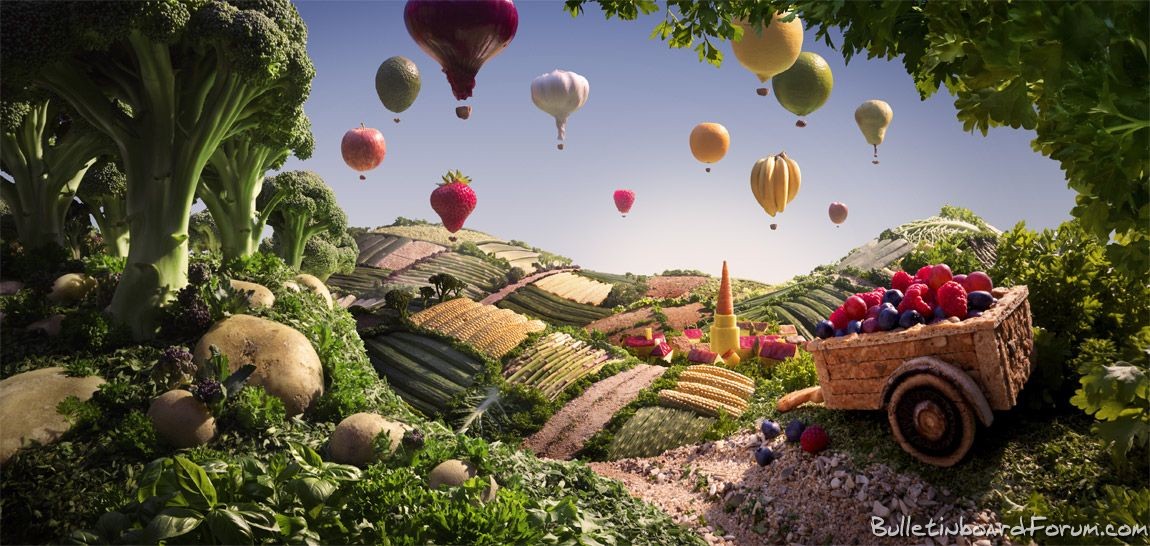 [Com+alimentos+-+3.jpg]