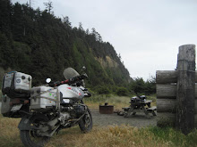 Camping in the Redwood National Park