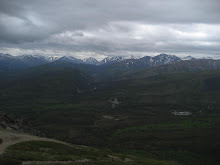 View from Mt Healy