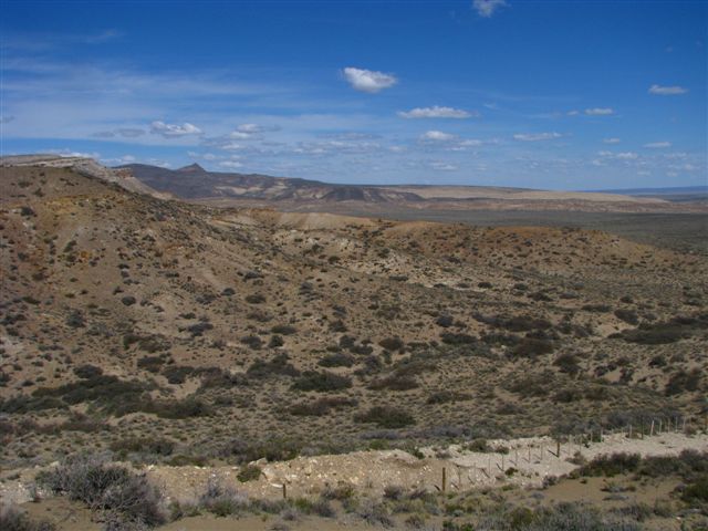 [IMG_8646-765216.JPG]