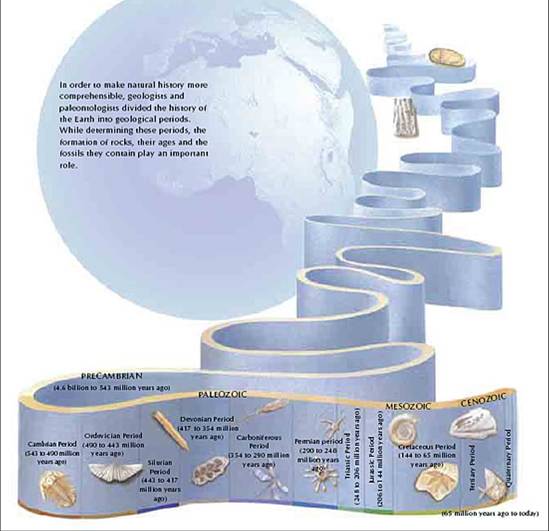 [Geological+scale+1.jpg]