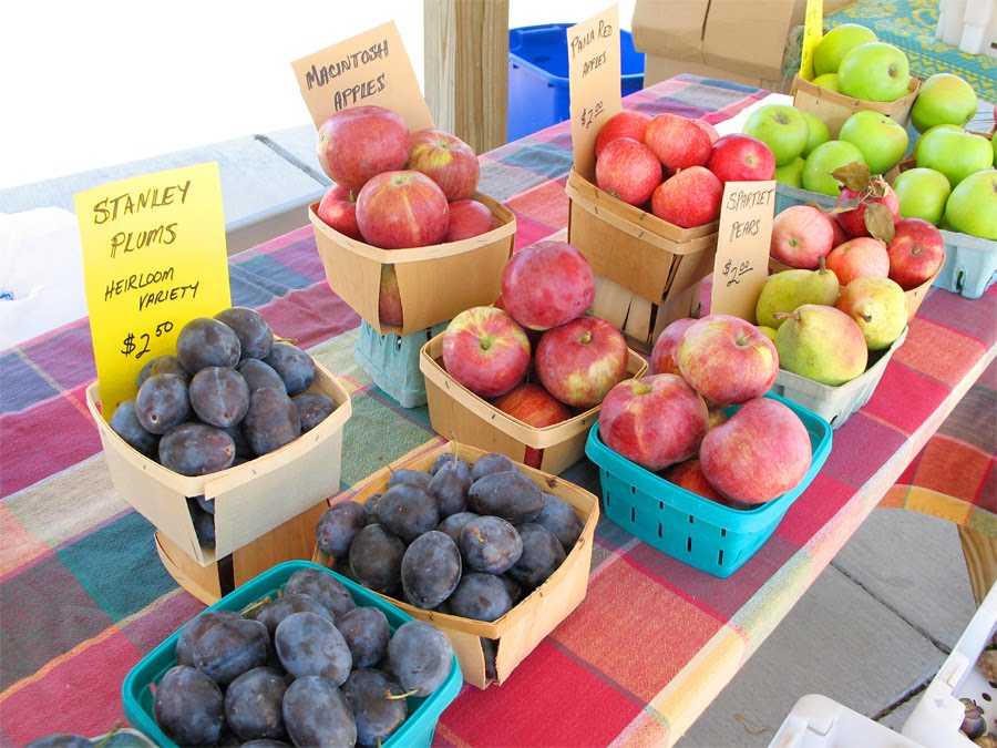 [2009_0919.jpg]