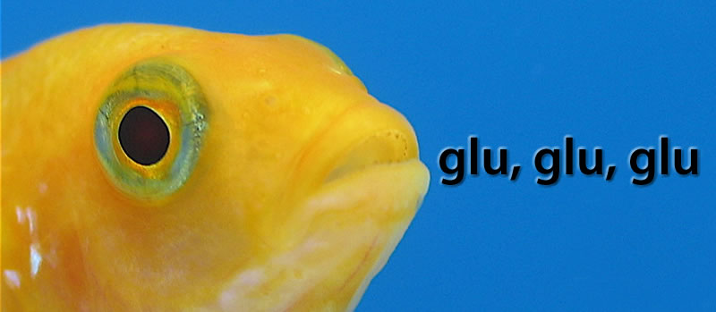 glu, glu, glu