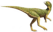 Leaellynasaura