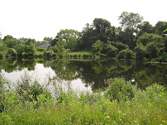 Wood Brook Pond