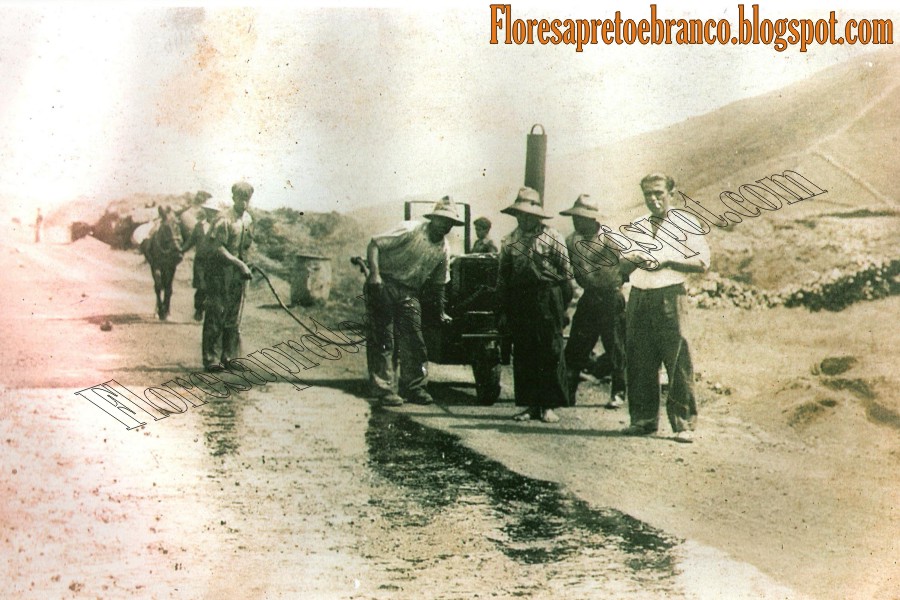 [asflatocarlosalves.jpg]