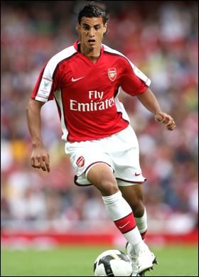 Marouane Chamakh Arsenal Forward Player from Morocco