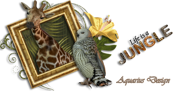 Aquarius Scrapability