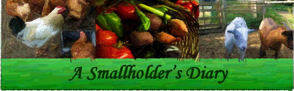 A Smallholder's Diary