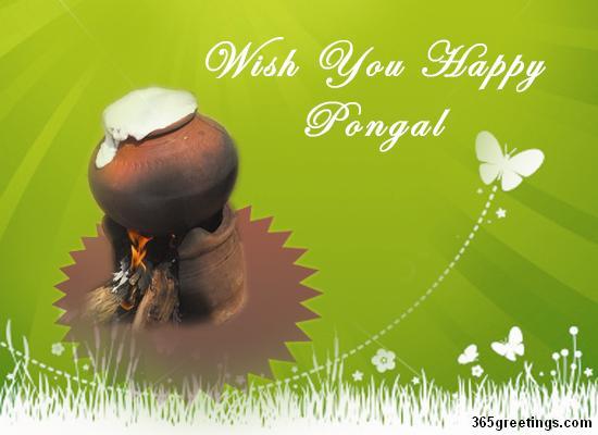 ,happy lohri wallpapers