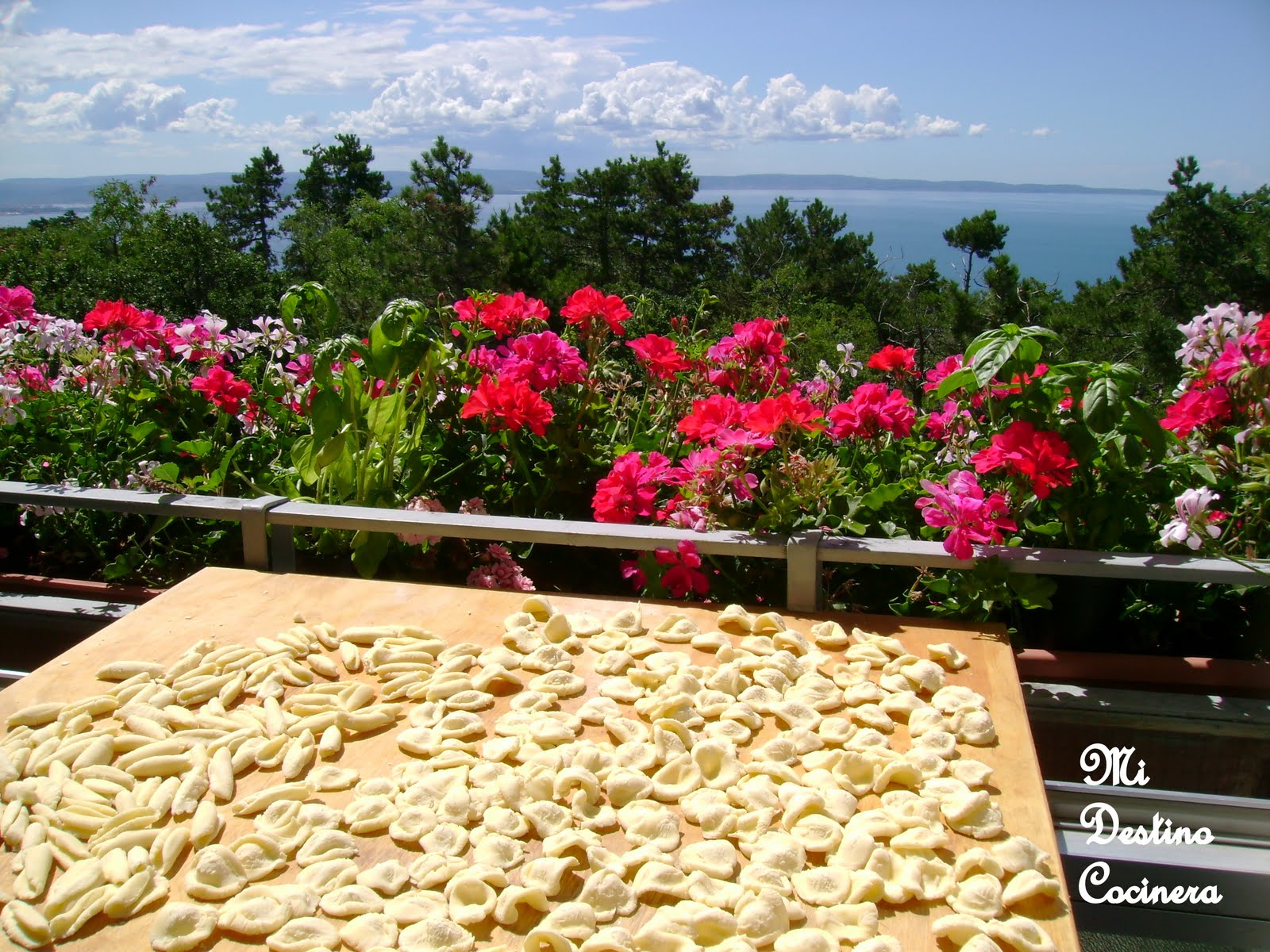 Simplemente Cocinera Food & Travel Las "Orecchiette" de la bella