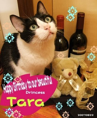 You Learn Something New (almost) Every Day: Happy Birthday, Tara!