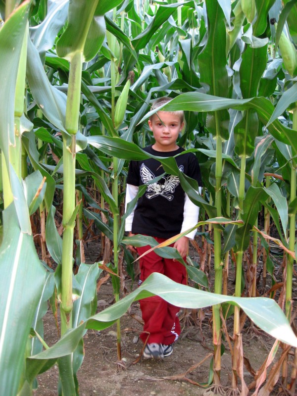 [IMG_4817+Standard+e-mail+view.jpg]