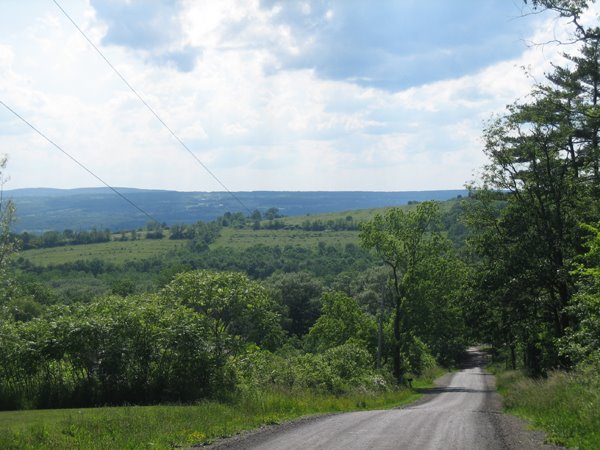 [around_seneca_lake.jpg]