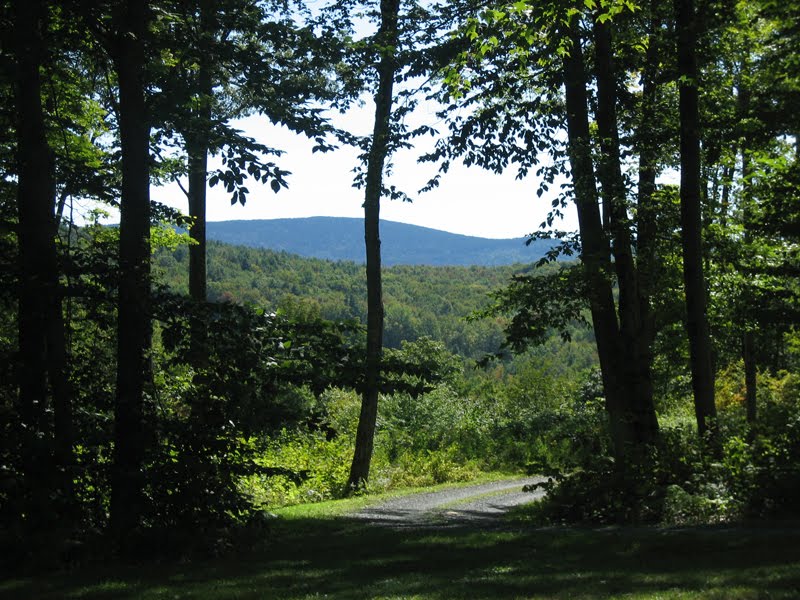 [AGC_NewHampshire_hills.jpg]