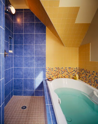 stilysh colored wall bathroom