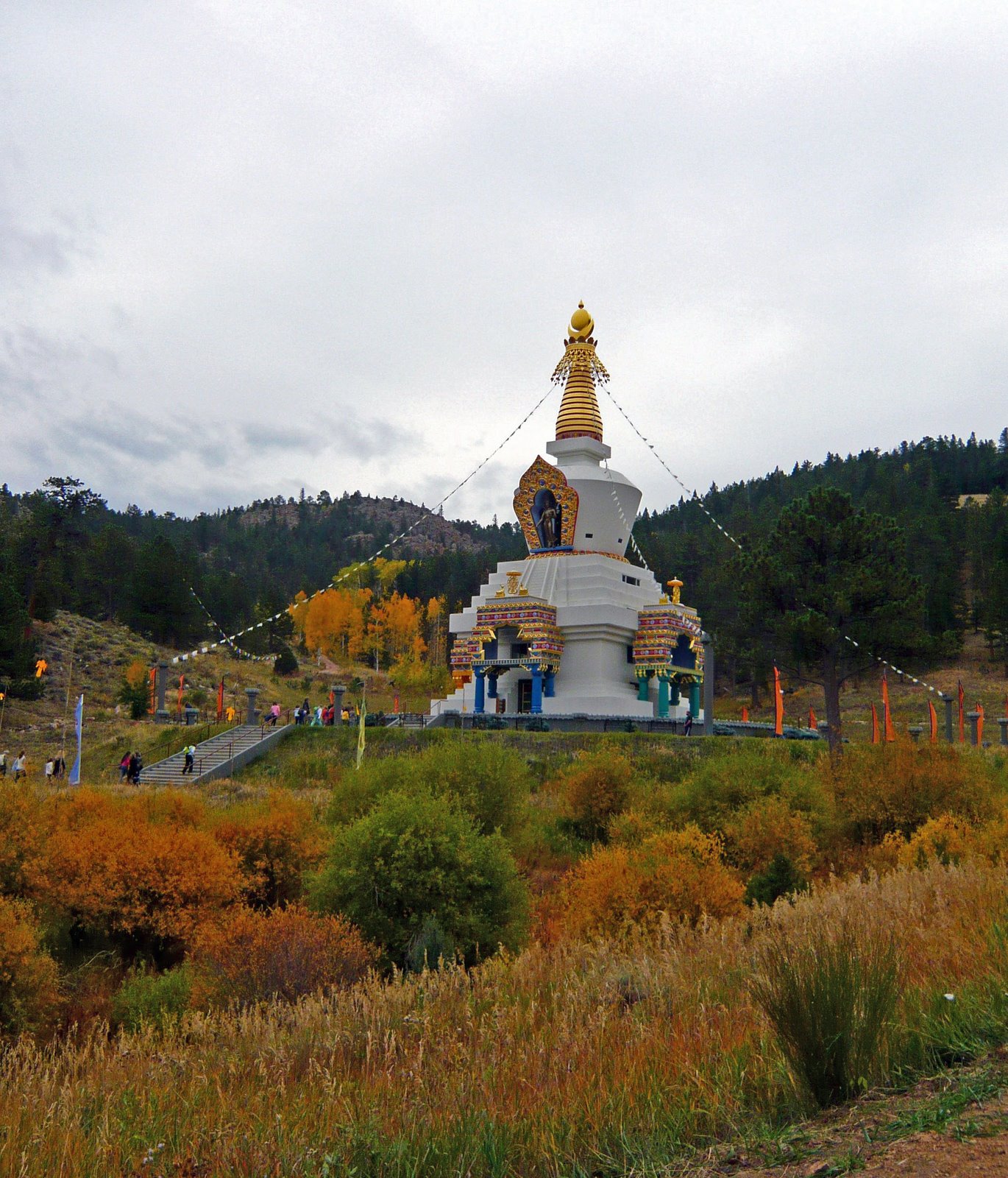 [P1010683_edited.JPG]