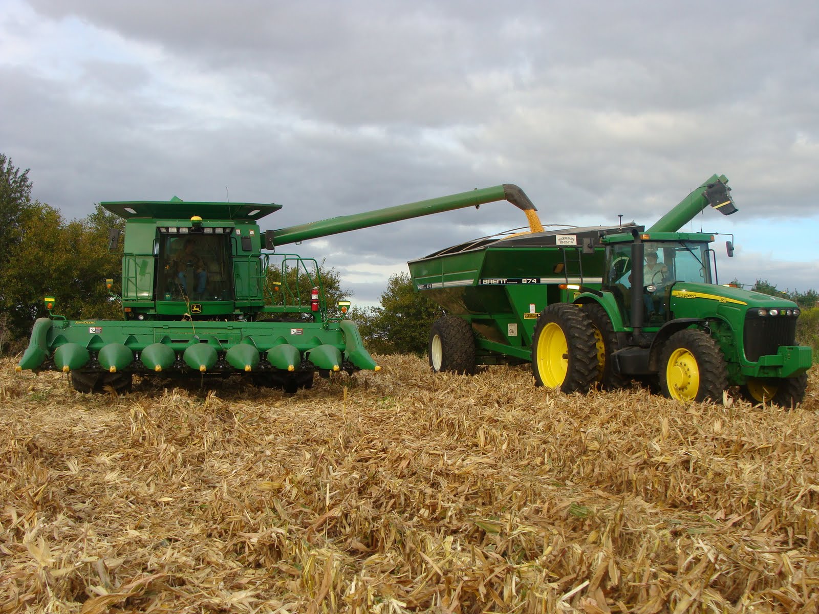 Green Wheat Farm