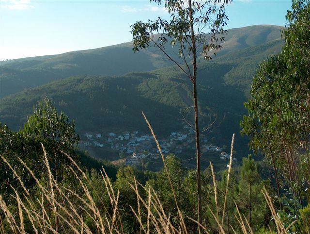 [HPIM0278.JPG]