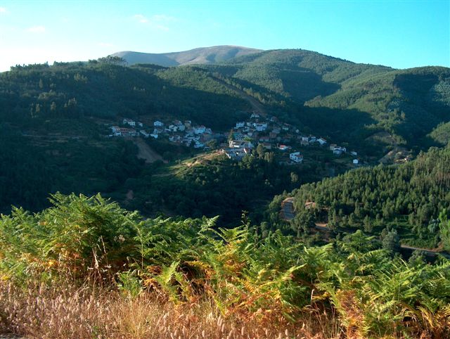 [HPIM0280.JPG]