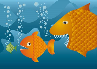 [big-fish-little-fish-735454.jpg]