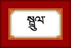 [snake-tibetan.jpg]