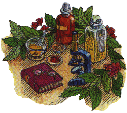 Herbal Remedies