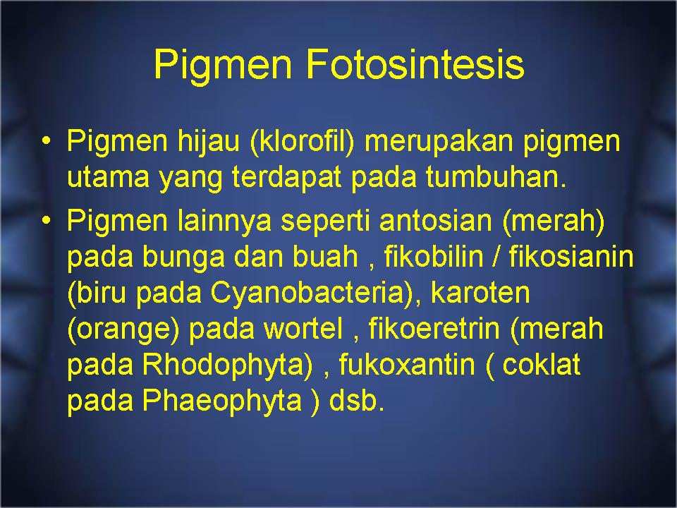 [Slide4.JPG]