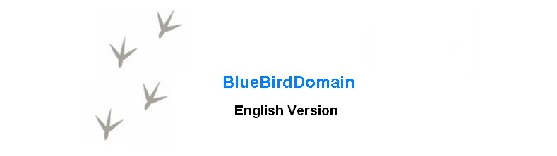 BlueBirdDomain