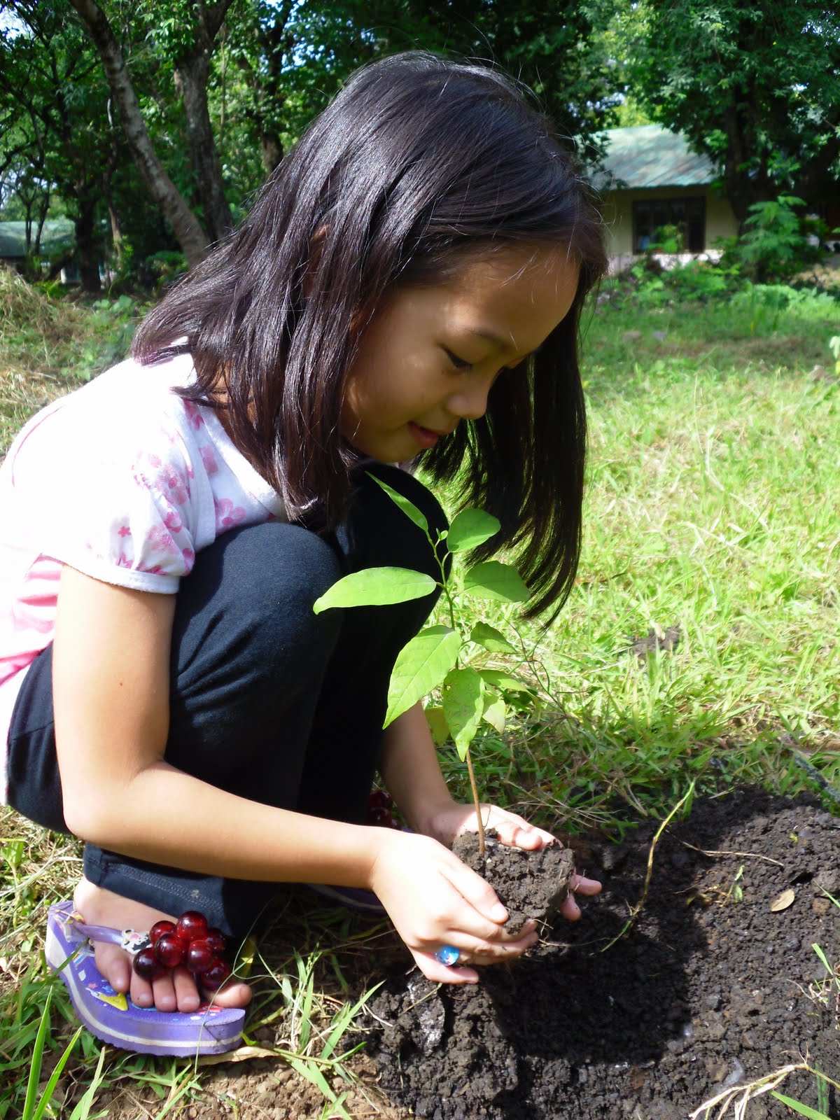 Camp Tinio Elementary School Online