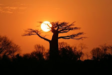 Soleil d'Afrique