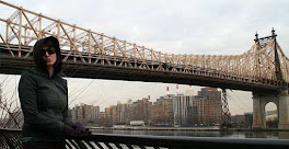 New Hood: Under the Q-boro Bridge