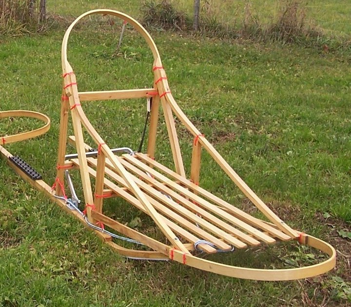 Arctis Carts Win a brand new dog sled!