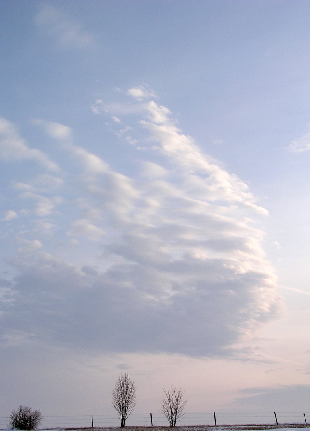 [clouds+trees.jpg]